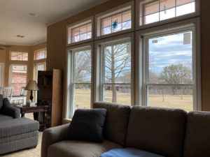 Interior view of new SoftLite windows installed in a living room