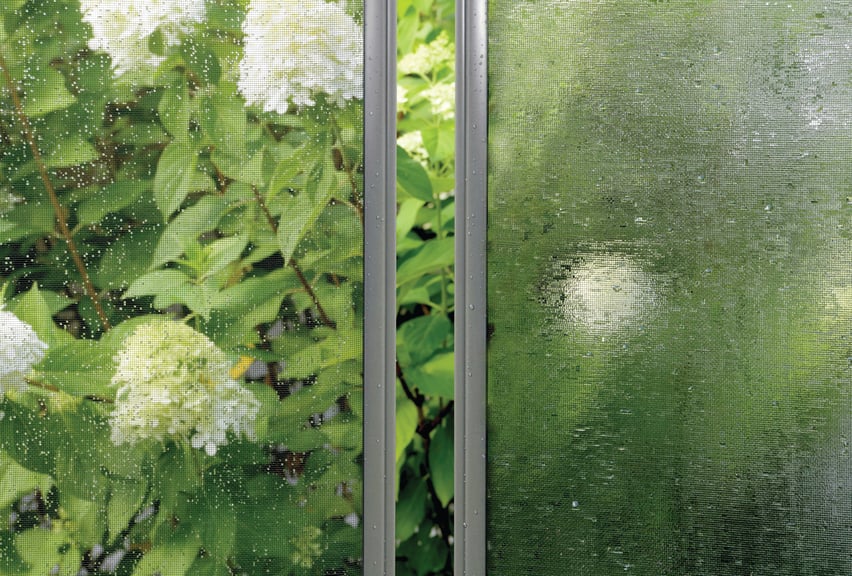 moisture on window screen