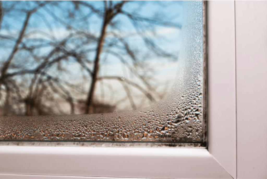 condensation inside a window
