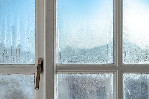 condensation on a window
